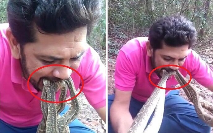 Clip: Người đàn ông liều mạng ngậm 4 con rắn chuông kịch độc trong miệng