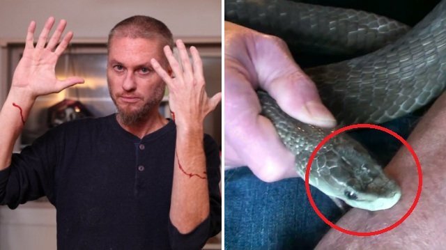 Video: Dị nhân có sở thích tự tiêm nọc rắn, bị rắn độc cắn trăm lần không chết