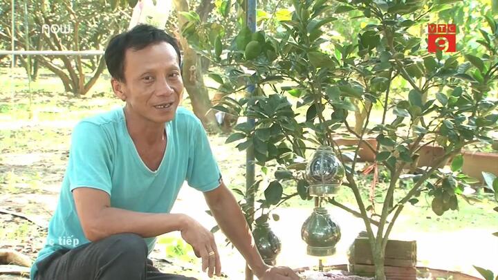 Bưởi hồ lô khắc chữ giá tiền triệu gây sốt thị trường Tết Kỷ Hợi