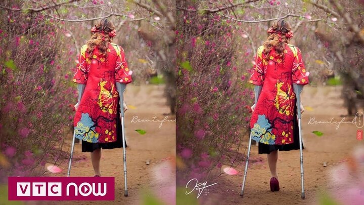 Bức ảnh cô gái khuyết tật giữa rừng hoa xuân khiến dân mạng xúc động