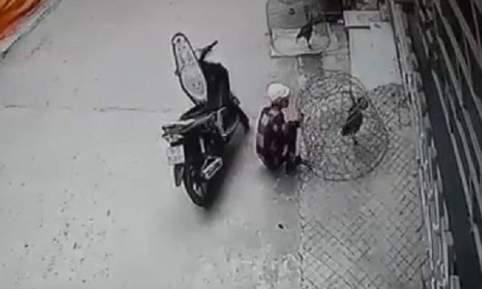 Bị truy bắt, tên trộm gà chọi dùng ná bắn hỏng mắt công an viên