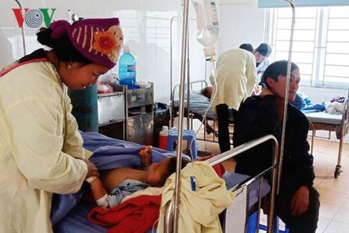 Bé 7 tuổi thiệt mạng do ăn sắn cao sản sống