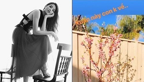 Bị đồn sang Mỹ sinh con cho đại gia, Phạm Hương nói gì?