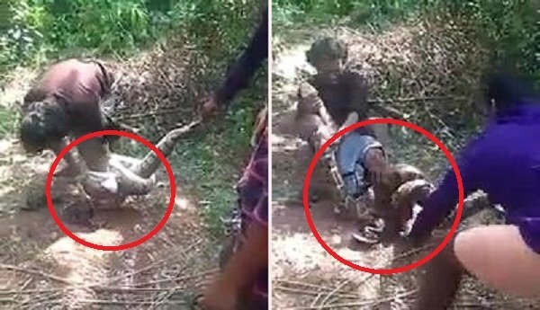 Clip: Vật lộn cứu người đàn ông bị trăn khủng siết chặt