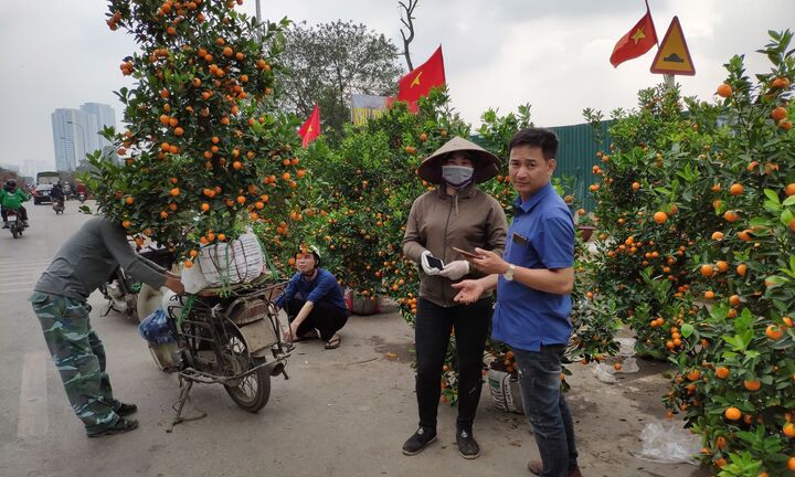 Tâm sự người trồng đào, quất ngày Tết: Làm ơn đừng mua hoa, đào, quất ngày 30 Tết