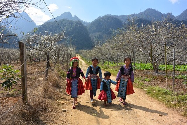 Rộn ràng không khí Tết trên bản đồng bào Mông