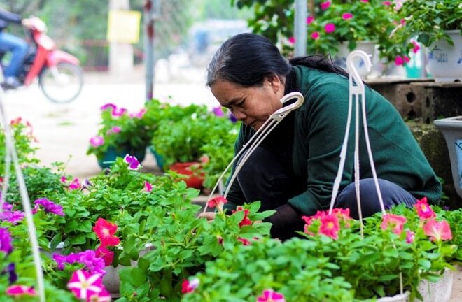 Xã giàu nhất miền Bắc làm nghề gì?