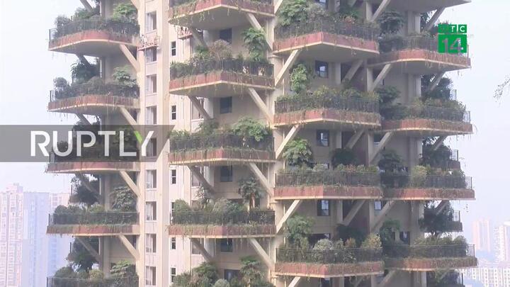 Kỳ lạ khu rừng thẳng đứng bao trùm cao ốc ở Trung Quốc