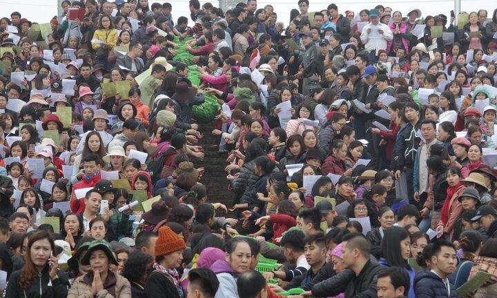 Video: Cảnh phóng sinh cá lớn nhất trong năm ở sông Hồng