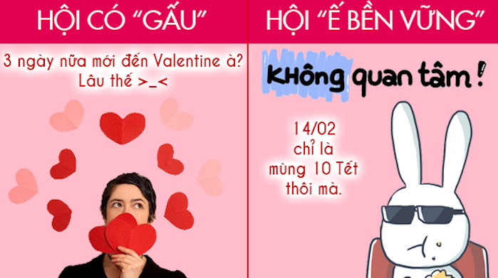 Ảnh: Sự khác biệt giữa hội độc thân và hội có 'gấu' trong ngày Valentine