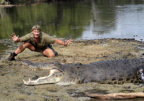 Steve Irwin là ai?