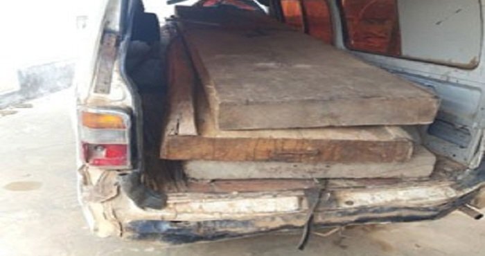 Chủ tịch xã bị tố ém gỗ tang vật