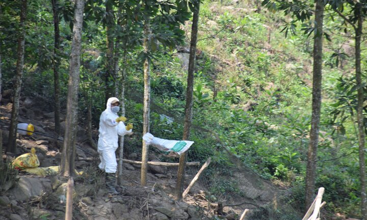 Dịch cúm A/H5N6 ‘càn quét’ hơn 7 nghìn con gà, vịt ở Quảng Nam