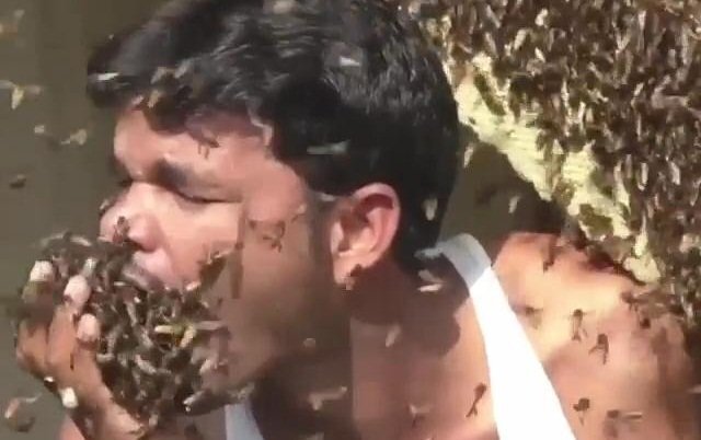 Rùng mình xem người đàn ông thoải mái chơi đùa, nhét hàng trăm con ong vào miệng