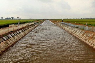 Tắm mương thủy lợi, 3 cháu nhỏ đuối nước thương tâm