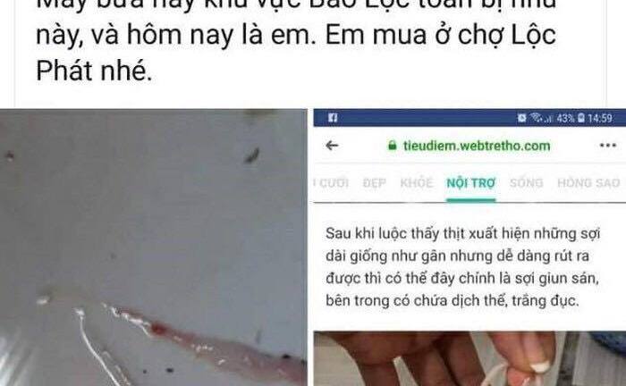 Tung tin bịa đặt heo nhiễm sán, chủ tài khoản Facebook ở Lâm Đồng bị phạt nặng