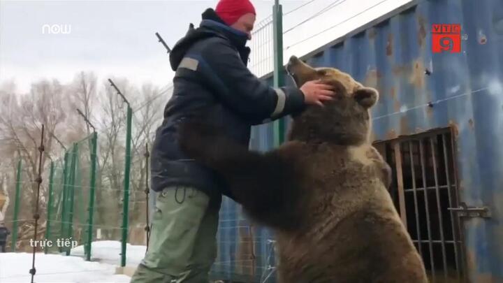 Phi công Nga nuôi gấu khổng lồ nặng 2,5 tạ làm thú cưng