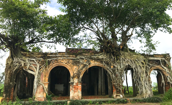 Kỳ bí ngôi đình cổ trong lòng cây bồ đề độc nhất vô nhị ở Việt Nam