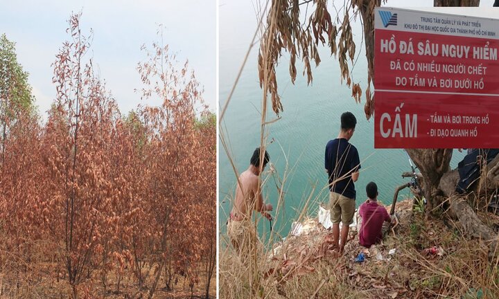 Nắng đến cháy da, thiêu chết cây cỏ: Dân TP.HCM phá rào hồ ‘tử thần’ vào bơi lội, mắc võng ngủ