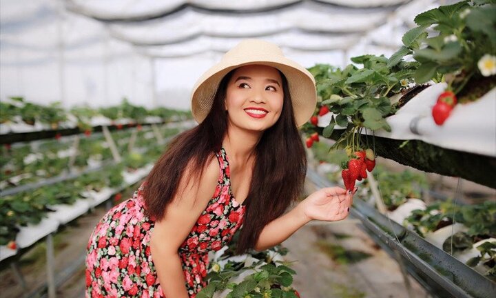 Diễn viên phim 'Người đẹp Tây Đô: Khi chuẩn bị cưới lần hai, bạn trai tôi đột ngột qua đời