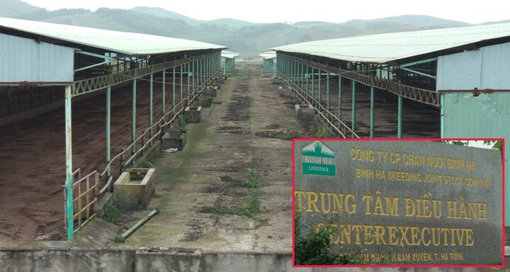 Cận cảnh dự án chăn nuôi bò ngàn tỷ đồng khiến con trai ông Trần Bắc Hà bị khởi tố