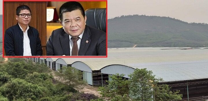 Đàn bò hơn 40.000 con khiến cha con ông Trần Bắc Hà bị bắt giờ ở đâu?
