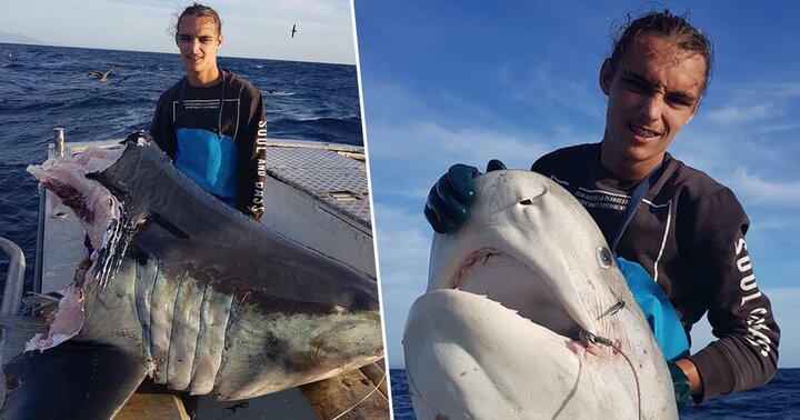 'Thủy quái' làm thịt cá mập khổng lồ, để lại cái đầu trơ trọi