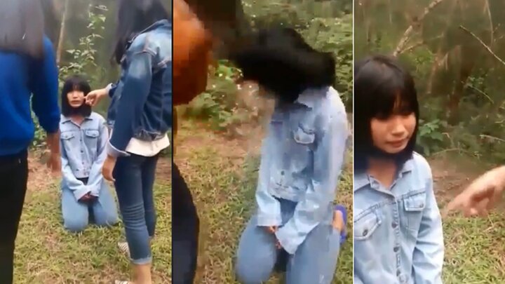 Nữ sinh đánh bạn ở Nghệ An sắp thi học sinh giỏi cấp tỉnh