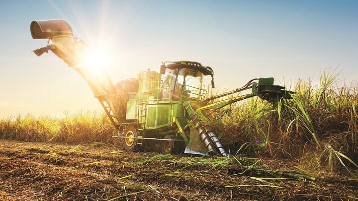 Lợi nhuận công ty mía đường TTC Sugar tăng mạnh