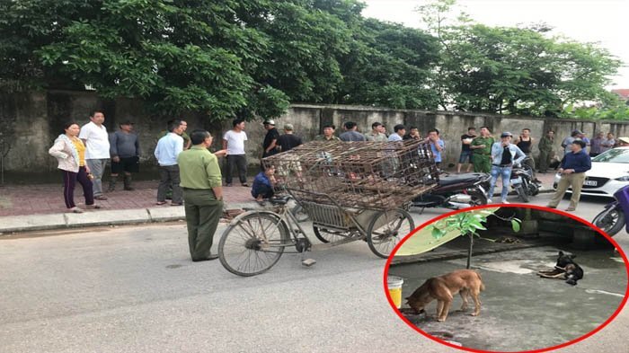 Đàn chó dữ cắn bé trai 7 tuổi thiệt mạng: Điều công an xã canh gác đề phòng chó ra ngoài cắn người