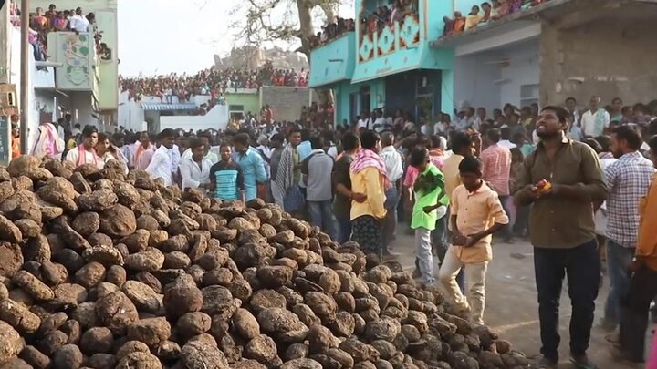 Video: Hàng trăm người ném phân bò vào nhau đến bầm dập ở Ấn Độ