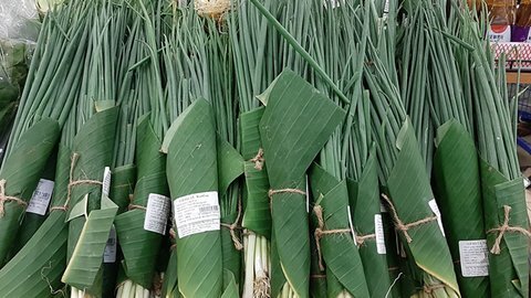 Dùng lá chuối thay túi ni-lông, người trồng chuối thành triệu phú