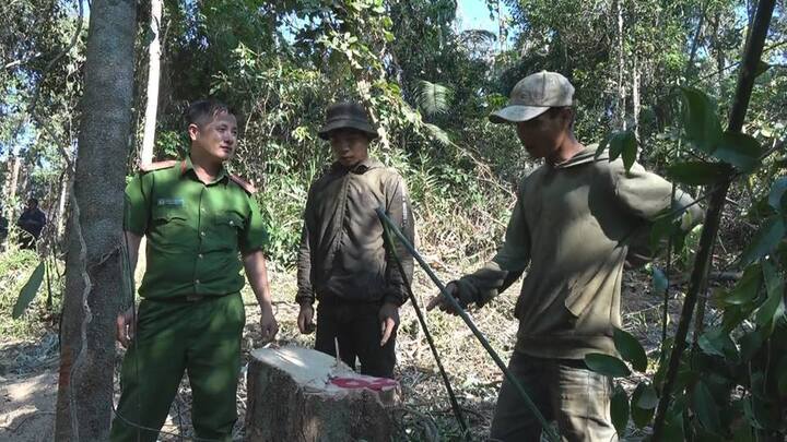 Bắt quả tang 4 kẻ ngang nhiên 'xẻ thịt' gỗ rừng ở Đắk Lắk