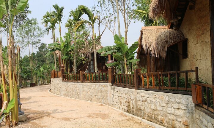 Khu nghỉ dưỡng mọc ‘chui’ giữa rừng phòng hộ: Xuất hiện tình tiết bất ngờ