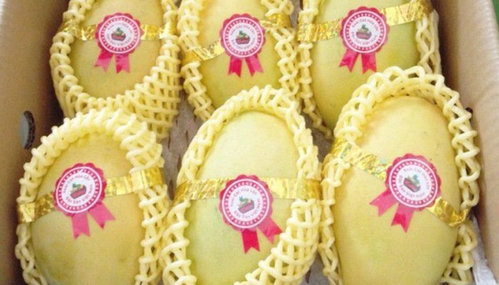 Lô xoài cát đầu tiên của Việt Nam đã đến Mỹ