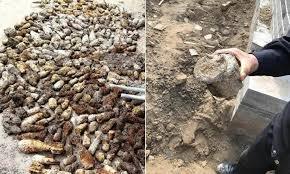 Đào phải kho bom hơn 3.000 quả, thợ xây Trung Quốc tưởng gạch chất lên xe ba bánh chở đi