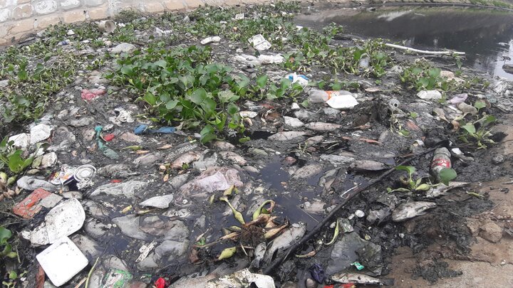 Cá chết trắng kênh bốc mùi hôi khủng khiếp, người Đà Nẵng đóng kín cửa nhà