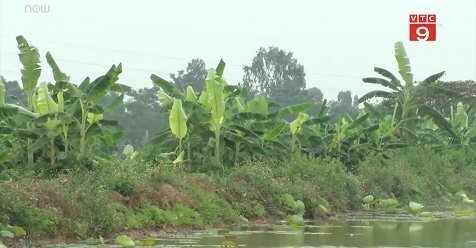 Siêu dự án sinh thái 10 năm vẫn ngổn ngang