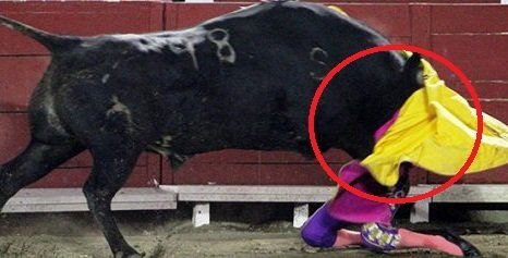 Clip: Bò tót nặng nửa tấn húc nữ võ sỹ gãy xương hàm, vỡ hốc mắt