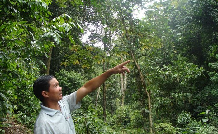 Chuyện lạ quanh khu rừng thiêng có tên ‘Rừng Đại Tướng’ trên đường hành quân lên Điện Biên Phủ