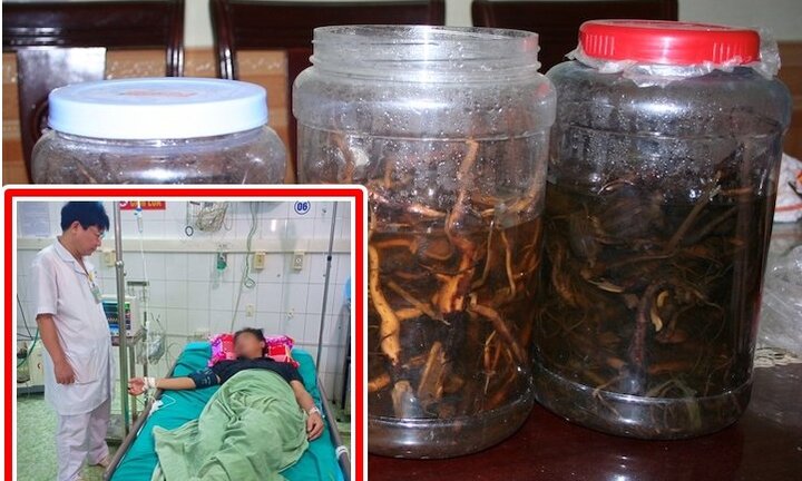 Uống rượu ngâm củ ấu tẩu, 2 người đàn ông suýt mất mạng