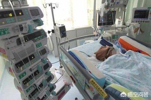 Táo rơi vào đầu, bé 3 tháng tuổi sống thực vật