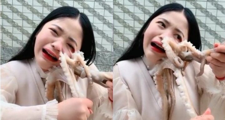 Clip: Livestream cảnh ăn bạch tuộc sống, gái xinh khóc thét vì bị cào rách mặt