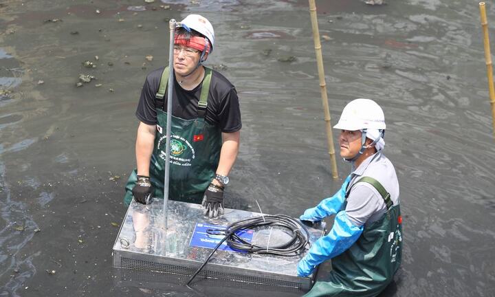 Video: Chuyên gia Nhật lội bùn đặt máy làm sạch nước trên sông Tô Lịch