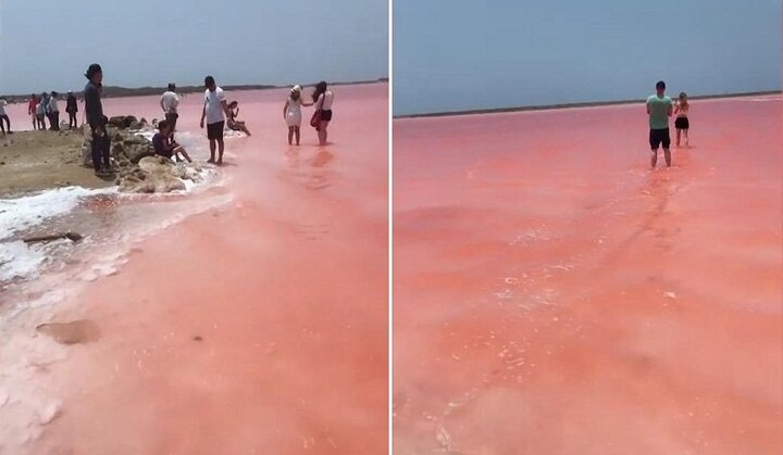 Clip: Bí ẩn biển nước hồng rực như cổ tích ở Colombia