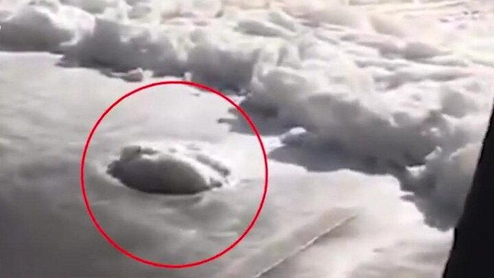 Clip: Miệng cống tuôn bọt bí ẩn, phủ trắng đường phố như tuyết