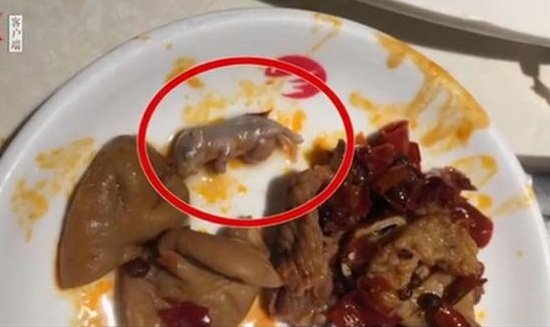 Bỏ chuột chết vào nồi lẩu để tống tiền 17 tỷ đồng, thực khách lĩnh trái đắng