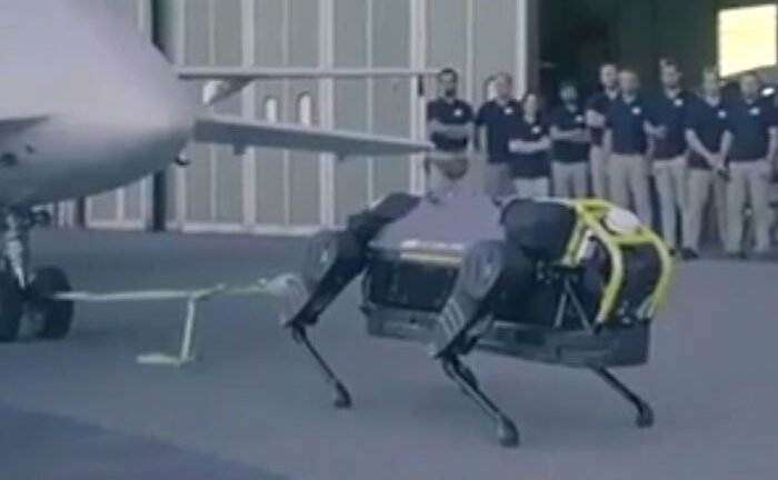 Video: Robot chó khoe sức mạnh kéo máy bay hơn 3 tấn trên đường băng