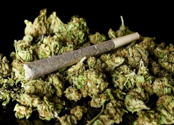 Google cấm đặt hàng cần sa qua các ứng dụng