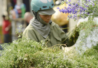 Tự tắm nước lá, cúng bái chữa bệnh, một phụ nữ bị lột da toàn thân, bốc mùi hôi thối